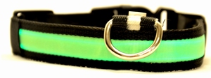 Lichtgevende halsband Groen