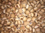 Koek Merg maxi - 500gram