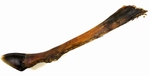 Hertenpoten XXL ,45cm - 5 stuks